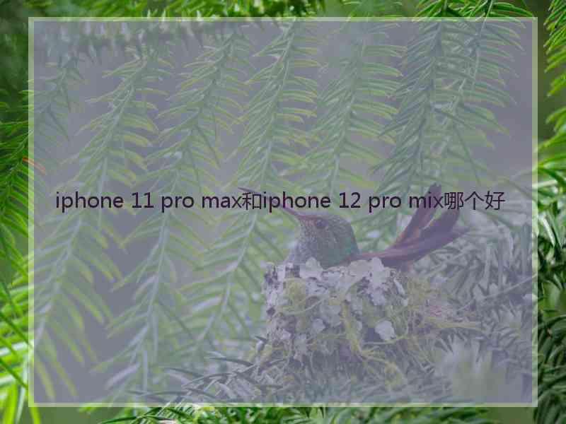 iphone 11 pro max和iphone 12 pro mix哪个好