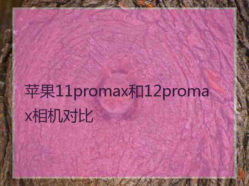 苹果11promax和12promax相机对比