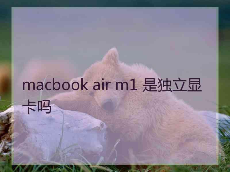 macbook air m1 是独立显卡吗