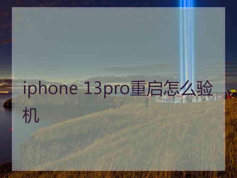 iphone 13pro重启怎么验机