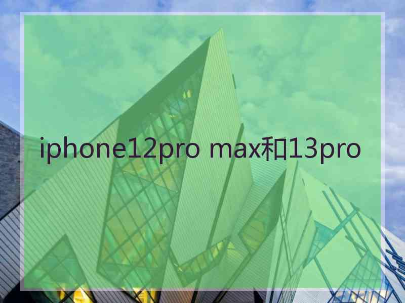 iphone12pro max和13pro