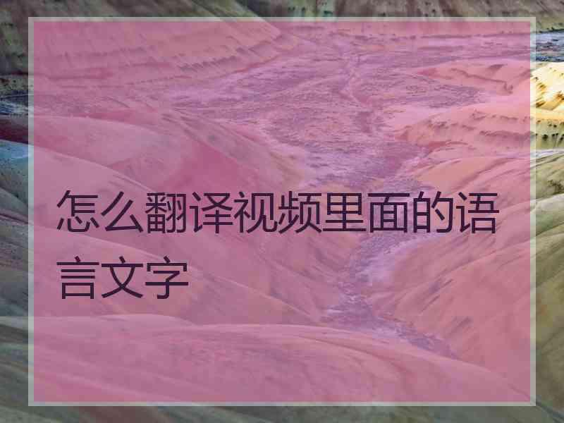 怎么翻译视频里面的语言文字