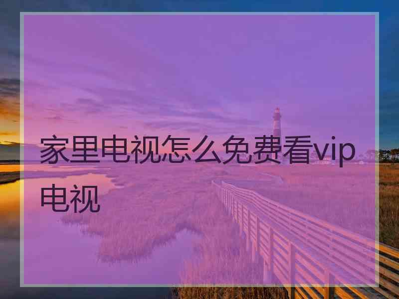 家里电视怎么免费看vip电视