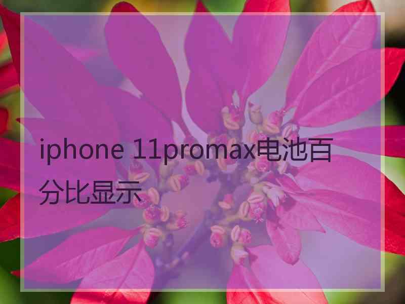 iphone 11promax电池百分比显示