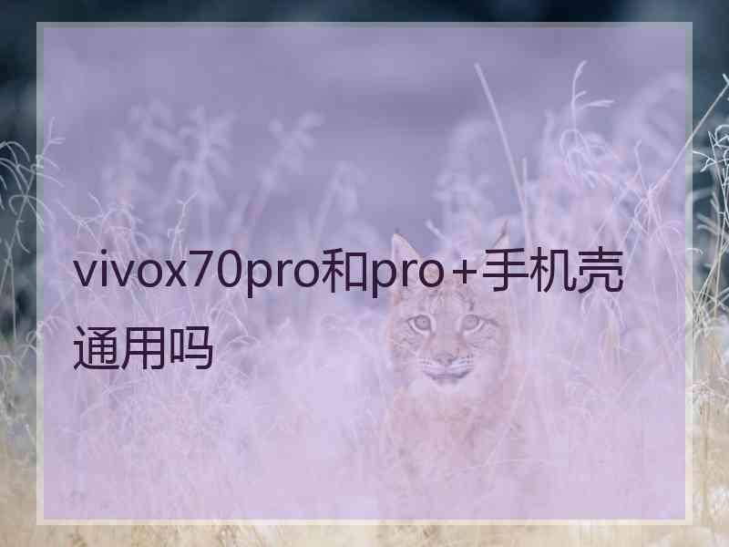 vivox70pro和pro+手机壳通用吗