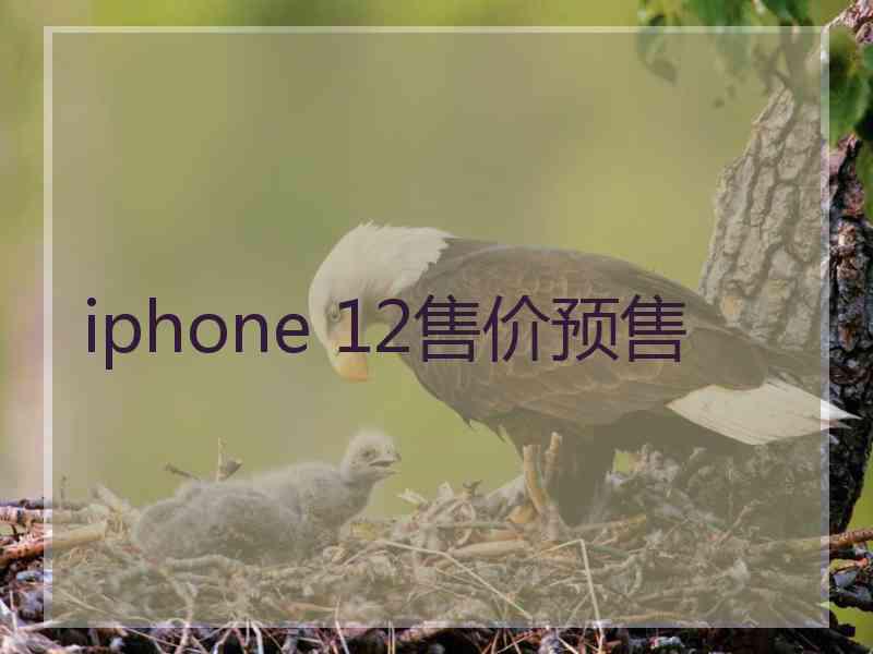 iphone 12售价预售