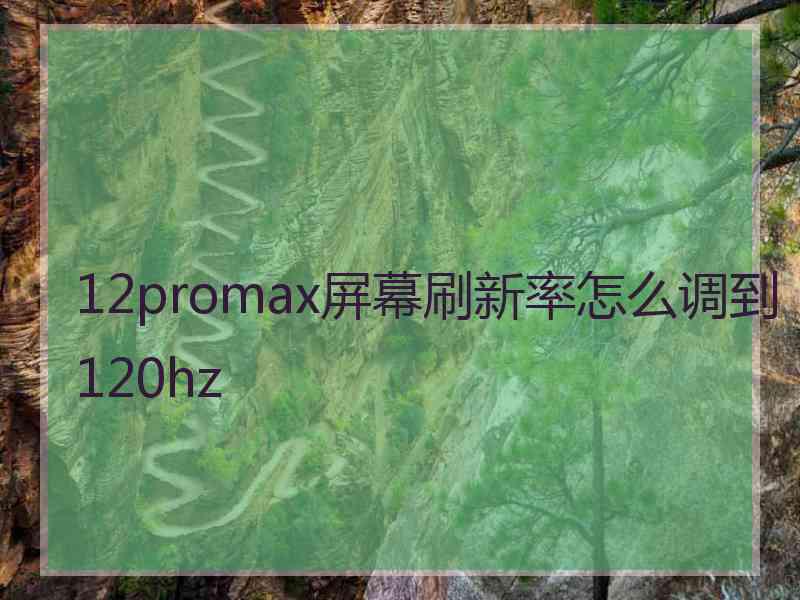 12promax屏幕刷新率怎么调到120hz