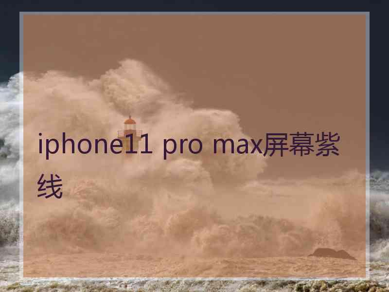 iphone11 pro max屏幕紫线