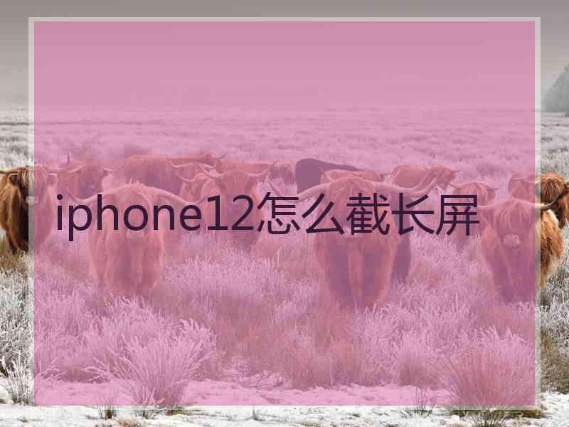 iphone12怎么截长屏