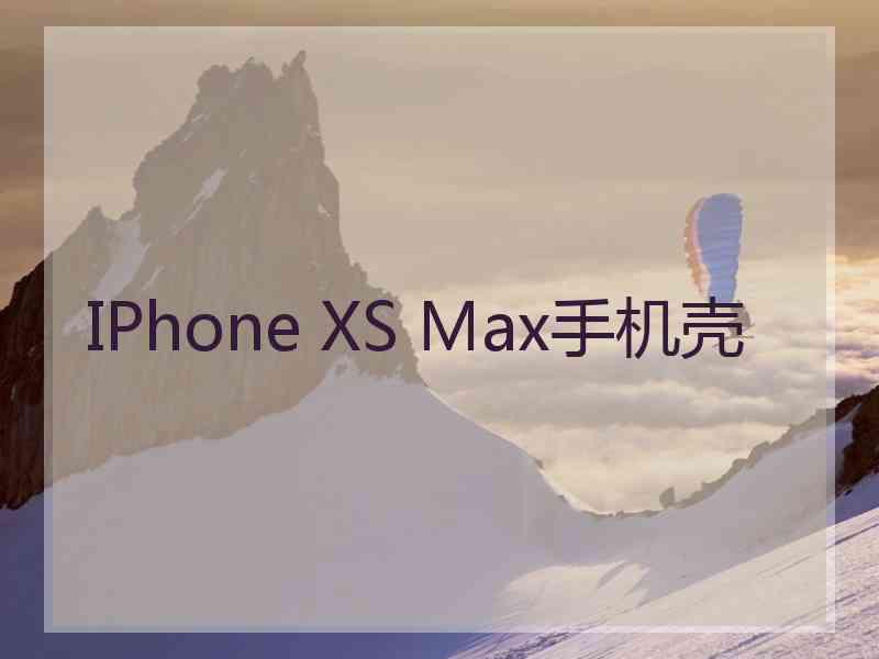 IPhone XS Max手机壳