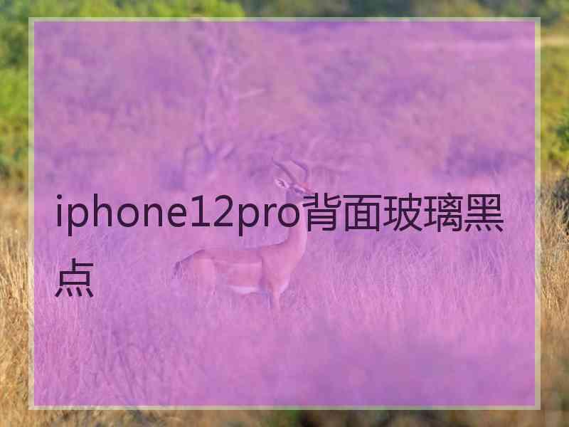 iphone12pro背面玻璃黑点