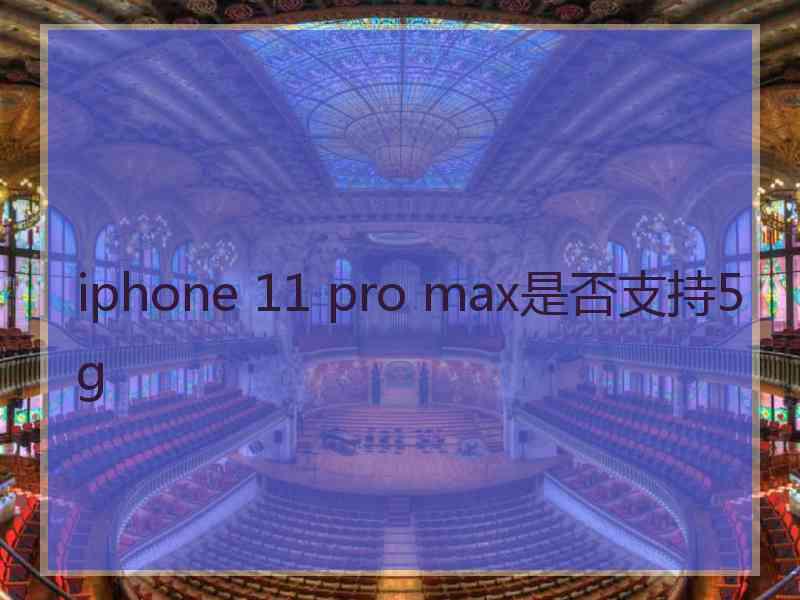 iphone 11 pro max是否支持5g