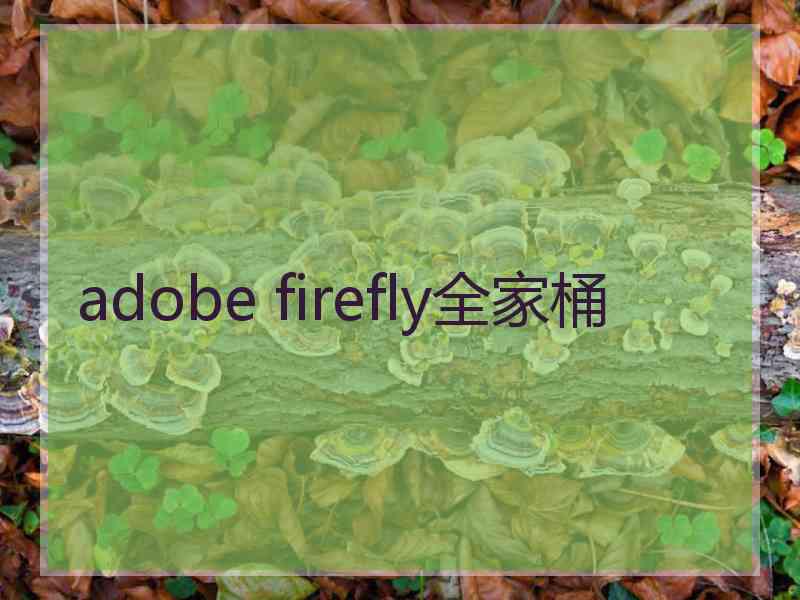 adobe firefly全家桶