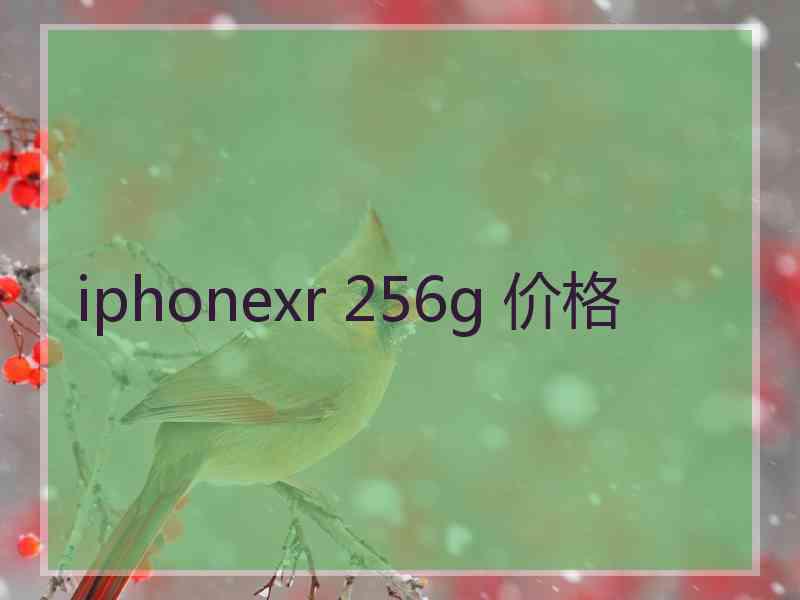 iphonexr 256g 价格