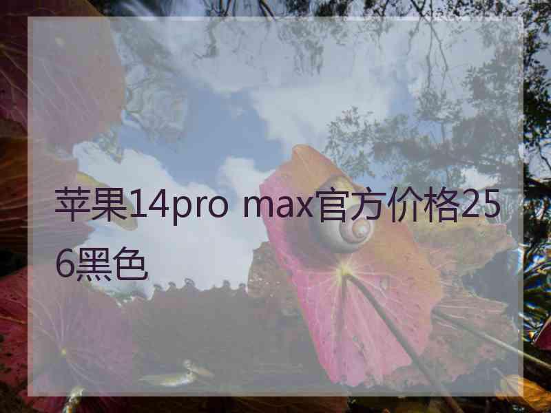 苹果14pro max官方价格256黑色