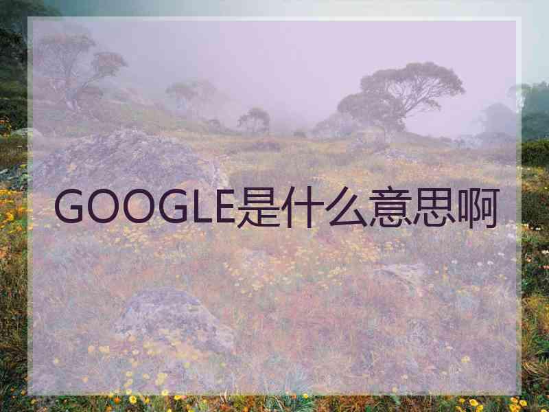 GOOGLE是什么意思啊