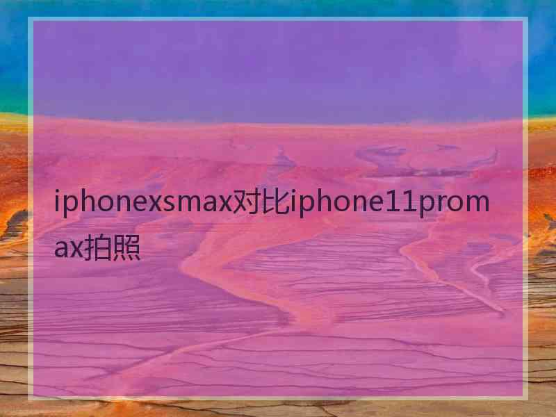 iphonexsmax对比iphone11promax拍照