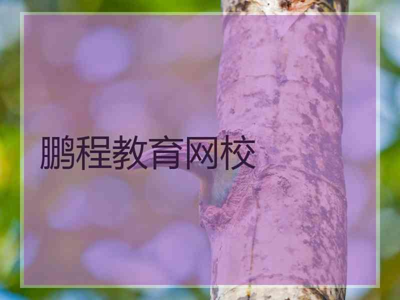 鹏程教育网校