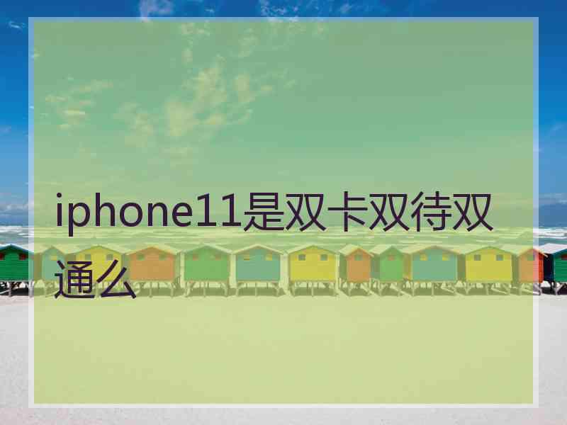 iphone11是双卡双待双通么