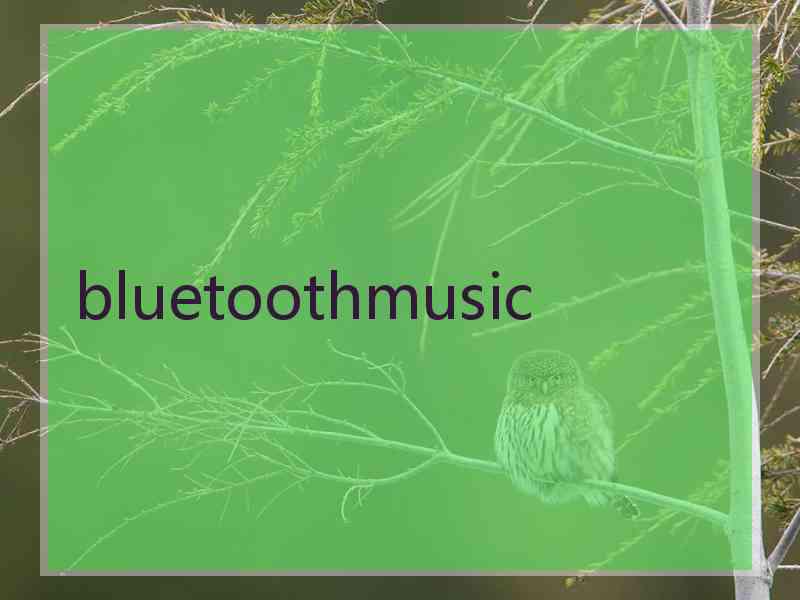 bluetoothmusic