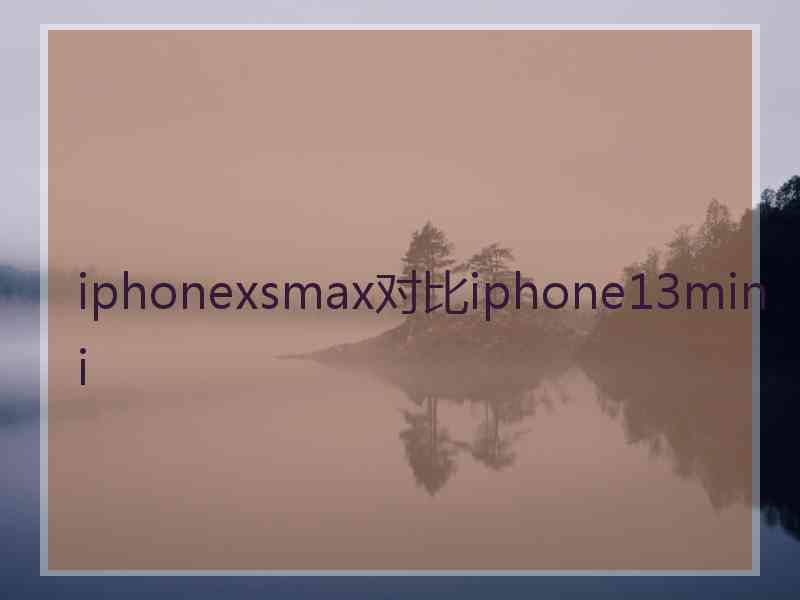 iphonexsmax对比iphone13mini