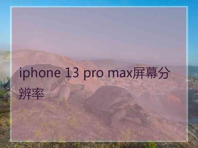 iphone 13 pro max屏幕分辨率