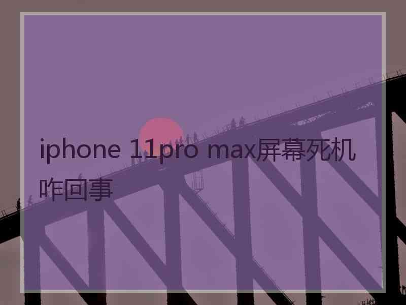 iphone 11pro max屏幕死机咋回事