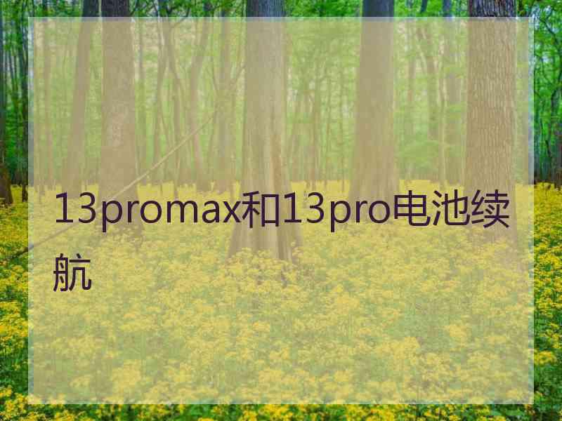 13promax和13pro电池续航