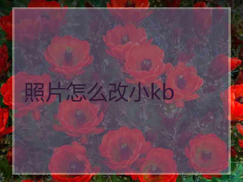 照片怎么改小kb