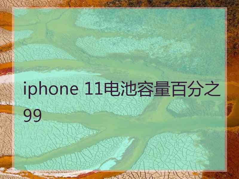 iphone 11电池容量百分之99