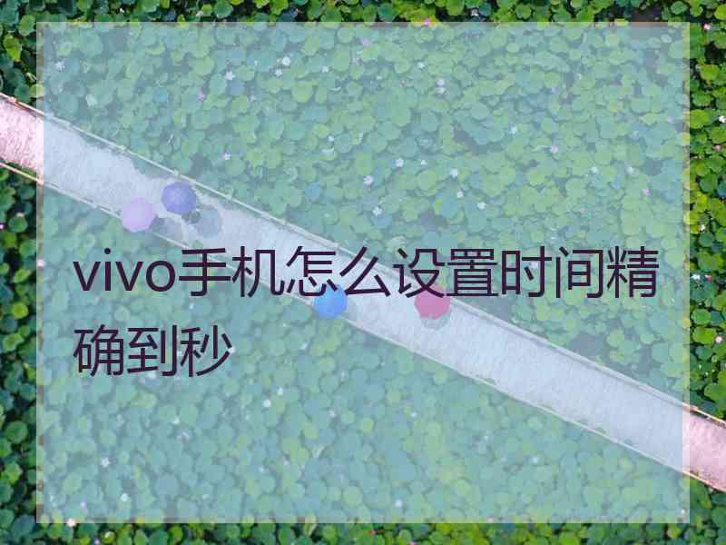 vivo手机怎么设置时间精确到秒