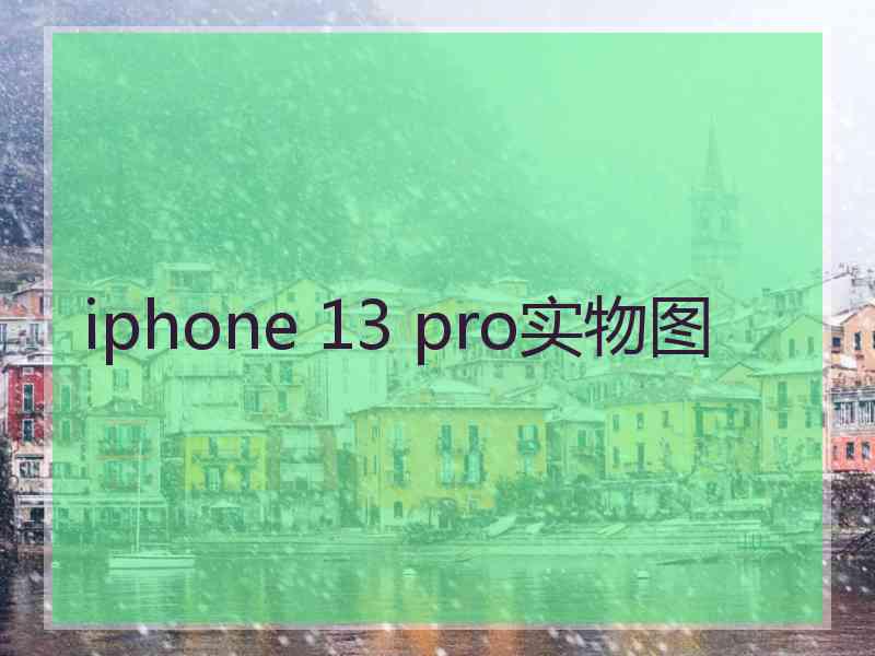 iphone 13 pro实物图