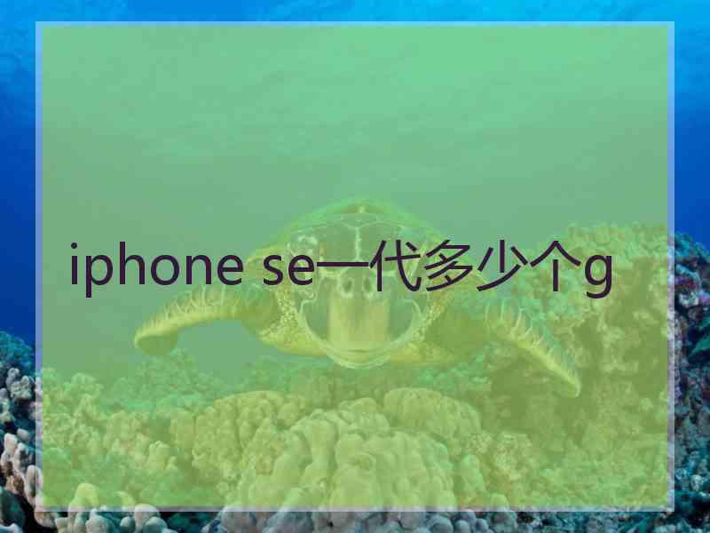 iphone se一代多少个g