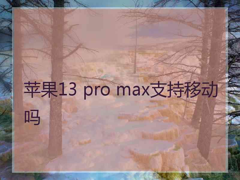 苹果13 pro max支持移动吗