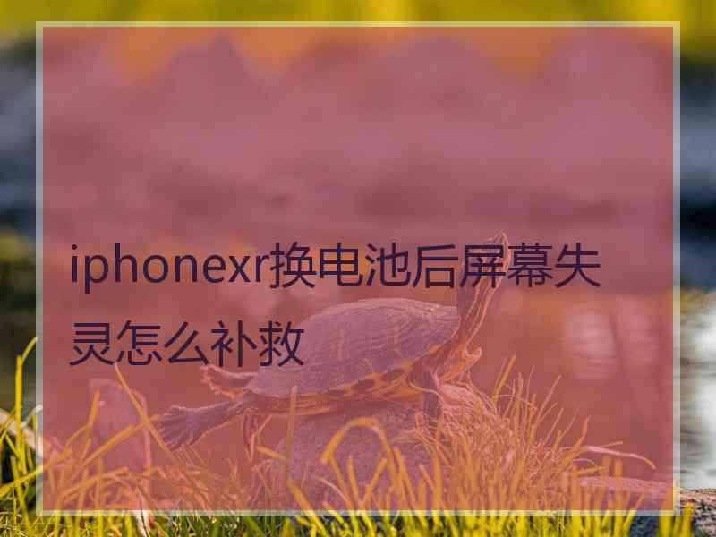 iphonexr换电池后屏幕失灵怎么补救