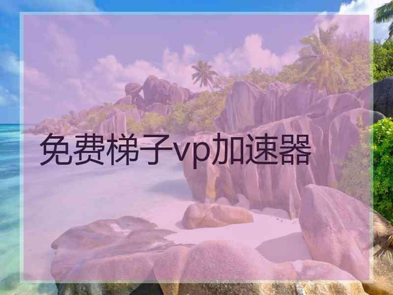 免费梯子vp加速器