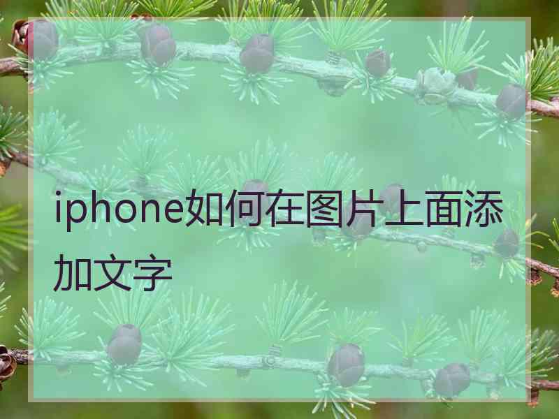 iphone如何在图片上面添加文字