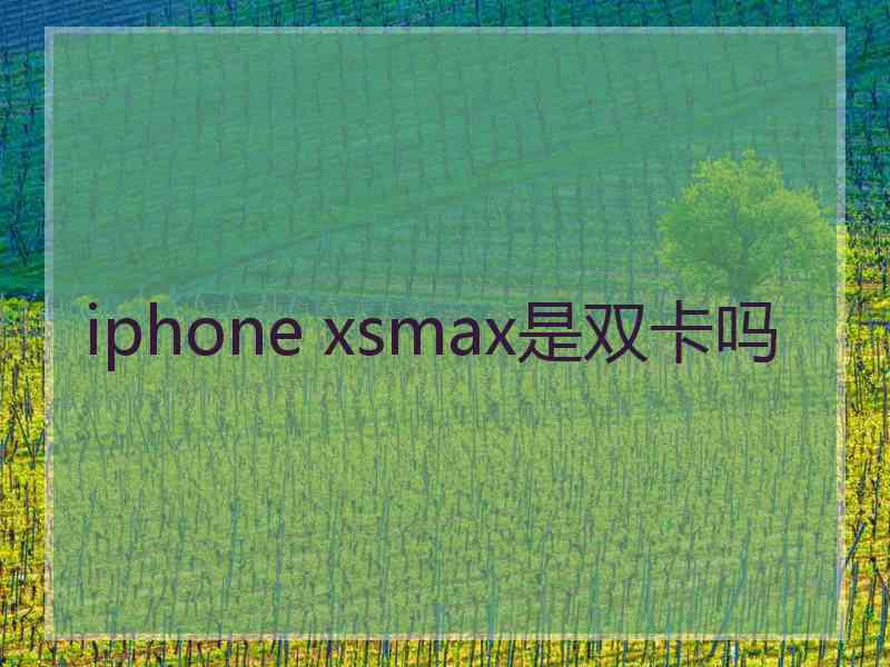 iphone xsmax是双卡吗