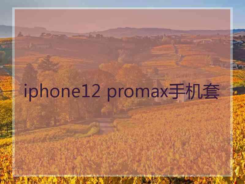 iphone12 promax手机套