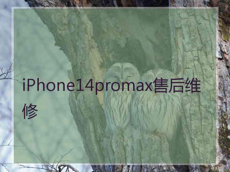 iPhone14promax售后维修