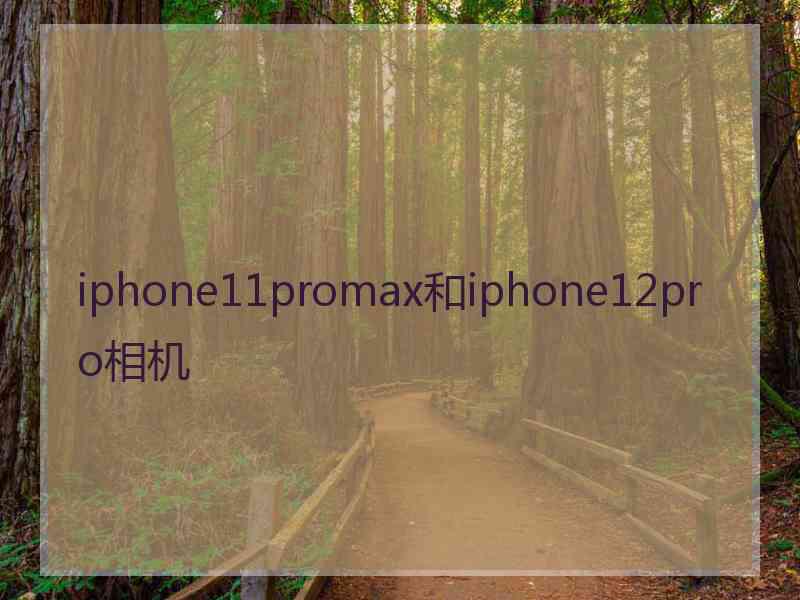 iphone11promax和iphone12pro相机