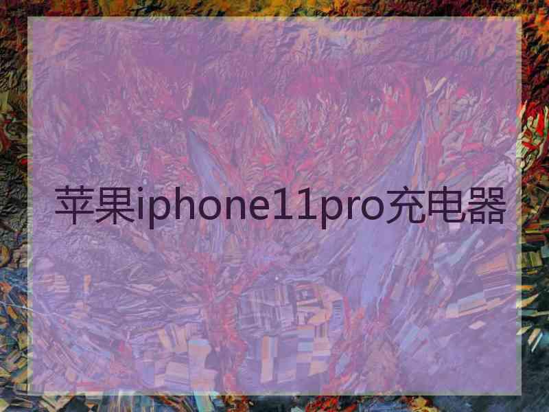 苹果iphone11pro充电器