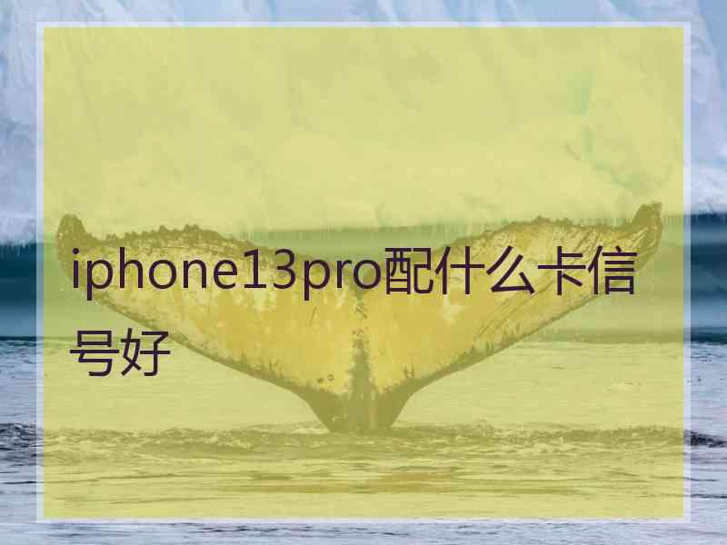 iphone13pro配什么卡信号好