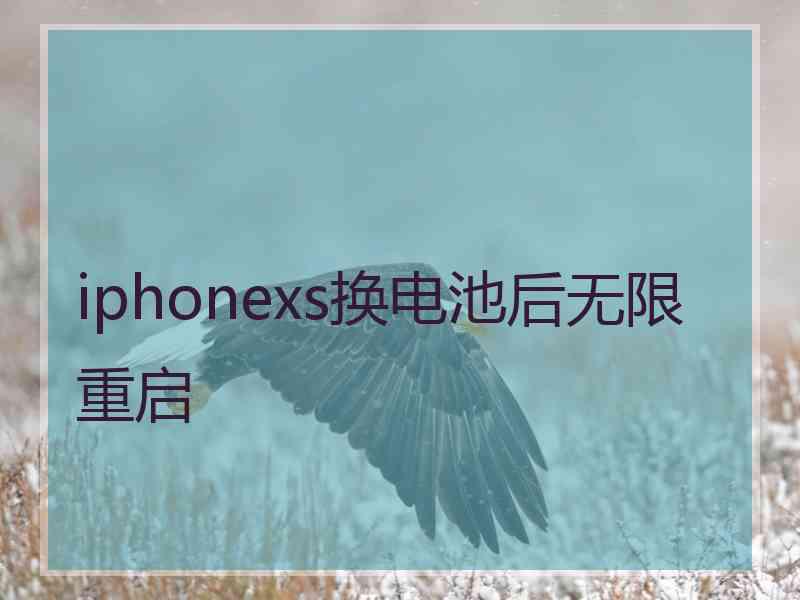 iphonexs换电池后无限重启