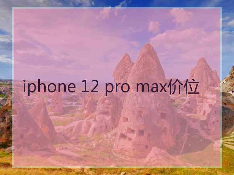 iphone 12 pro max价位