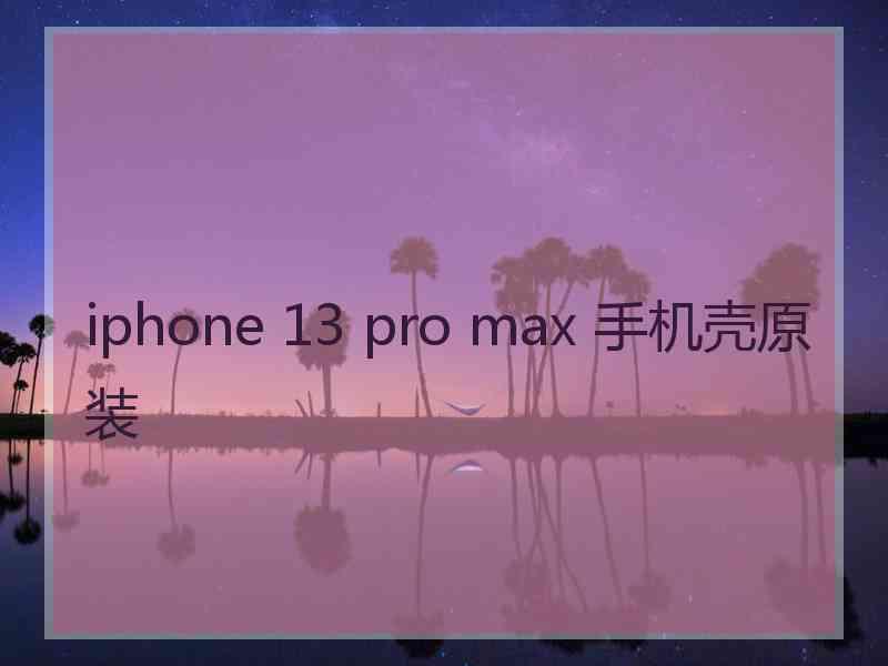 iphone 13 pro max 手机壳原装