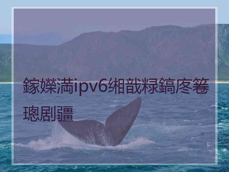 鎵嬫満ipv6缃戠粶鎬庝箞璁剧疆