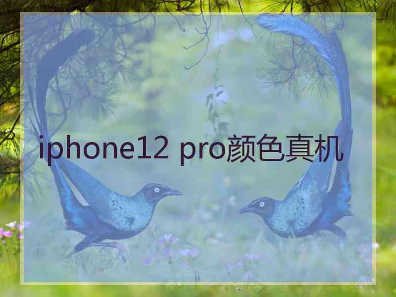 iphone12 pro颜色真机