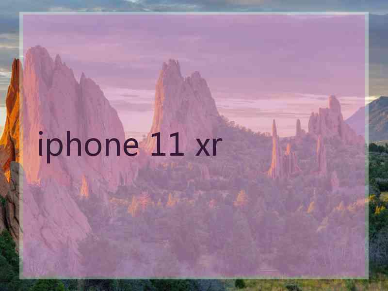 iphone 11 xr