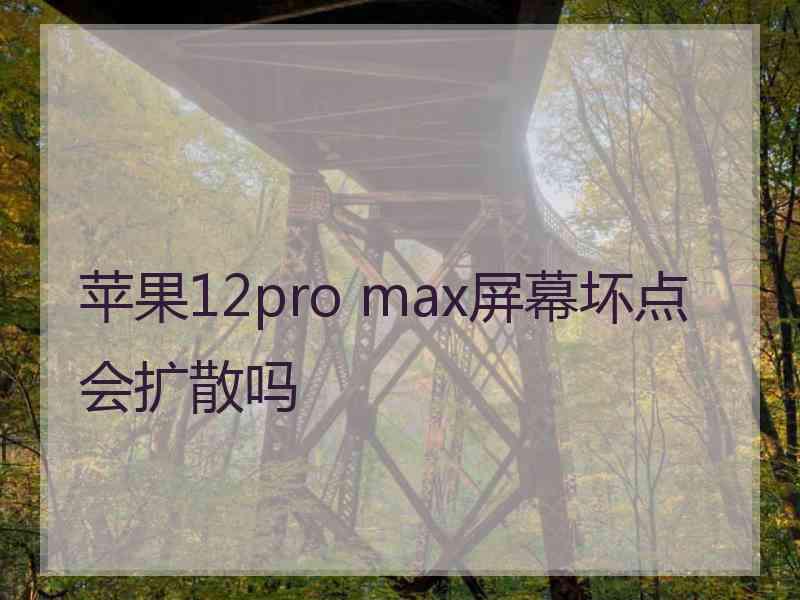 苹果12pro max屏幕坏点会扩散吗